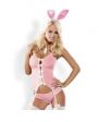 Sexy Bunny Suit